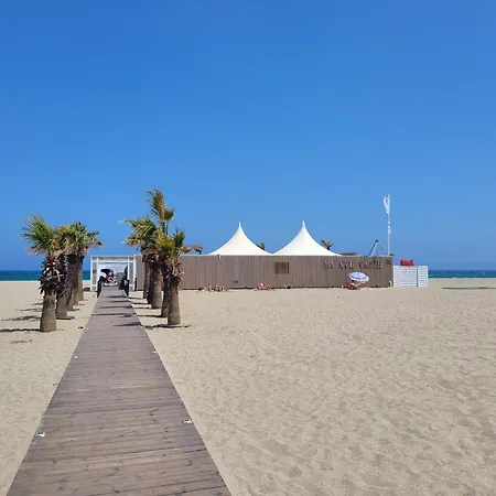Canet-en-roussillon: T2 Moderne Avec Terrasse, Parking Prive Et Ascenseur Pour 4 Pers - Fr-1-794-129 Appartement Canet-en-Roussillon