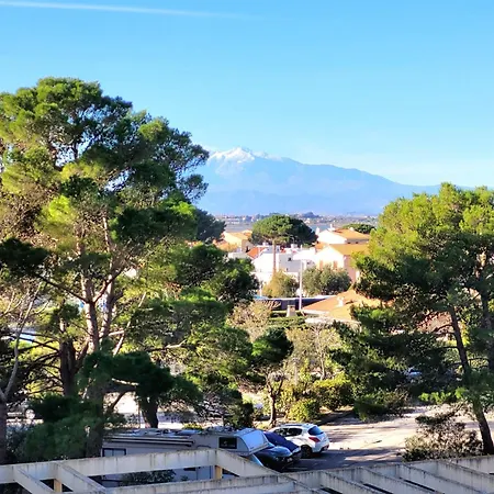 Canet-en-roussillon: T2 Moderne Avec Terrasse, Parking Prive Et Ascenseur Pour 4 Pers - Fr-1-794-129 Apartment