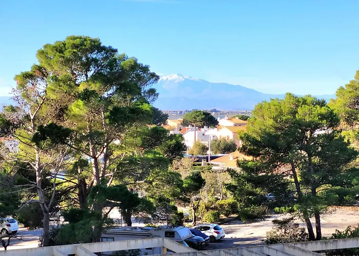 Canet-en-roussillon: T2 Moderne Avec Terrasse, Parking Prive Et Ascenseur Pour 4 Pers - Fr-1-794-129 아파트